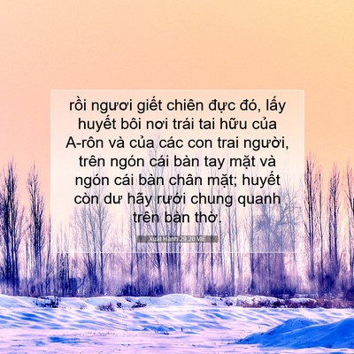 Picture 07 - Xuất Hành 29:20 VIE - rồi ngươi giết chiên đực đó, lấy - Bible Verse Picture
