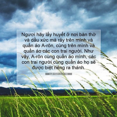 Picture 07 - Xuất Hành 29:21 VIE - Ngươi hãy lấy huyết ở nơi bàn thờ - Bible Verse Picture