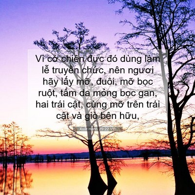 Picture 07 - Xuất Hành 29:22 VIE - Vì cớ chiên đực đó dùng làm lễ - Bible Verse Picture