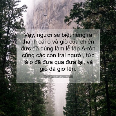 Picture 07 - Xuất Hành 29:27 VIE - Vậy, ngươi sẽ biệt riêng ra thánh cái - Bible Verse Picture