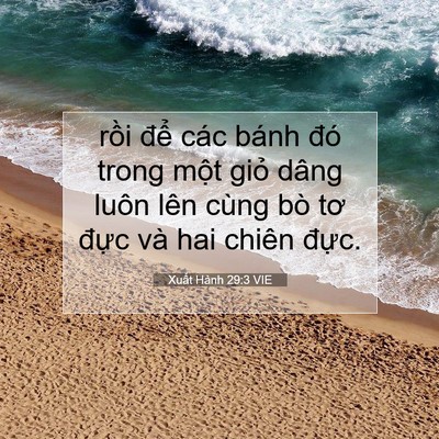 Picture 07 - Xuất Hành 29:3 VIE - rồi để các bánh đó trong một giỏ - Bible Verse Picture