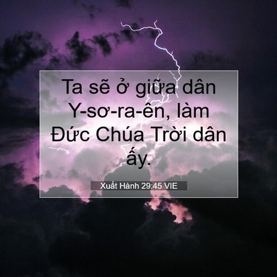 Picture 07 - Xuất Hành 29:45 VIE - Ta sẽ ở giữa dân Y-sơ-ra-ên, làm Đức - Bible Verse Picture