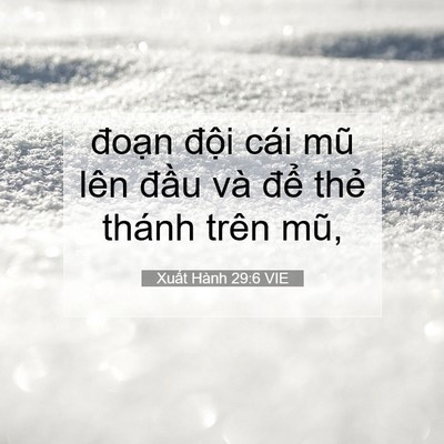 Picture 07 - Xuất Hành 29:6 VIE - đoạn đội cái mũ lên đầu và để - Bible Verse Picture