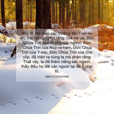 Picture 07 - Xuất Hành 3:16 VIE - Hãy đi, hội hiệp các trưởng lão - Bible Verse Picture