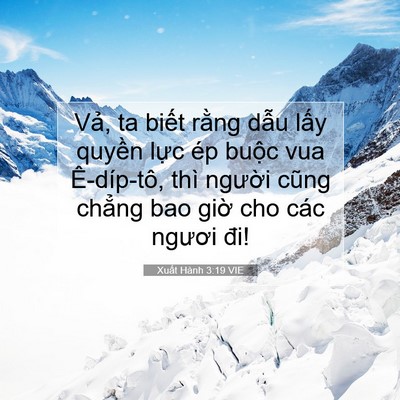 Picture 07 - Xuất Hành 3:19 VIE - Vả, ta biết rằng dẫu lấy quyền lực - Bible Verse Picture