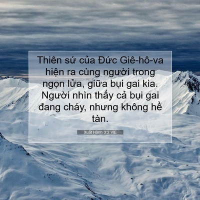 Picture 07 - Xuất Hành 3:2 VIE - Thiên sứ của Đức Giê-hô-va hiện ra - Bible Verse Picture