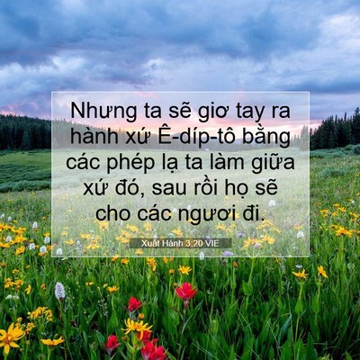 Picture 07 - Xuất Hành 3:20 VIE - Nhưng ta sẽ giơ tay ra hành xứ Ê-díp-tô - Bible Verse Picture