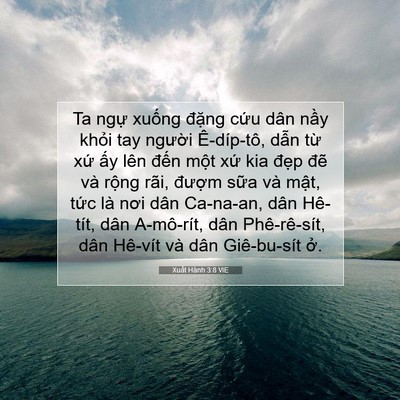 Picture 07 - Xuất Hành 3:8 VIE - Ta ngự xuống đặng cứu dân nầy khỏi - Bible Verse Picture