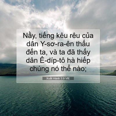 Picture 07 - Xuất Hành 3:9 VIE - Nầy, tiếng kêu rêu của dân Y-sơ-ra-ên - Bible Verse Picture