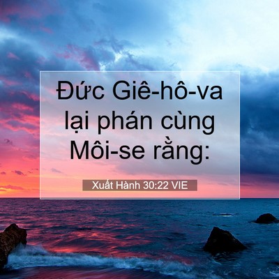 Picture 07 - Xuất Hành 30:22 VIE - Đức Giê-hô-va lại phán cùng Môi-se - Bible Verse Picture