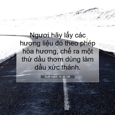Picture 07 - Xuất Hành 30:25 VIE - Ngươi hãy lấy các hương liệu đó theo - Bible Verse Picture