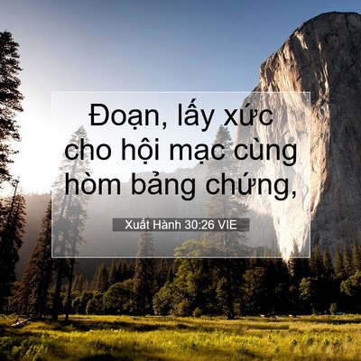Picture 07 - Xuất Hành 30:26 VIE - Đoạn, lấy xức cho hội mạc cùng hòm - Bible Verse Picture
