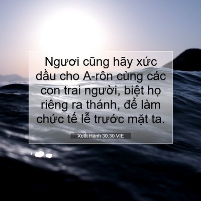 Picture 07 - Xuất Hành 30:30 VIE - Ngươi cũng hãy xức dầu cho A-rôn cùng - Bible Verse Picture