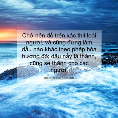 Picture 07 - Xuất Hành 30:32 VIE - Chớ nên đổ trên xác thịt loài - Bible Verse Picture