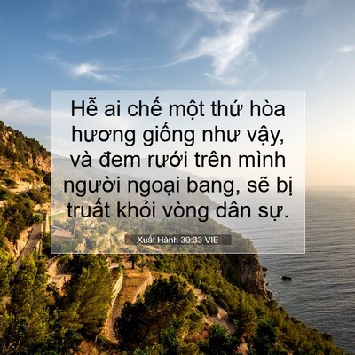 Picture 07 - Xuất Hành 30:33 VIE - Hễ ai chế một thứ hòa hương giống - Bible Verse Picture
