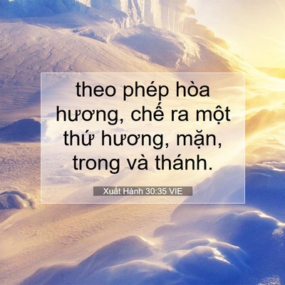 Picture 07 - Xuất Hành 30:35 VIE - theo phép hòa hương, chế ra một thứ - Bible Verse Picture