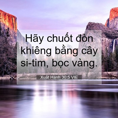 Picture 07 - Xuất Hành 30:5 VIE - Hãy chuốt đòn khiêng bằng cây si-tim, - Bible Verse Picture