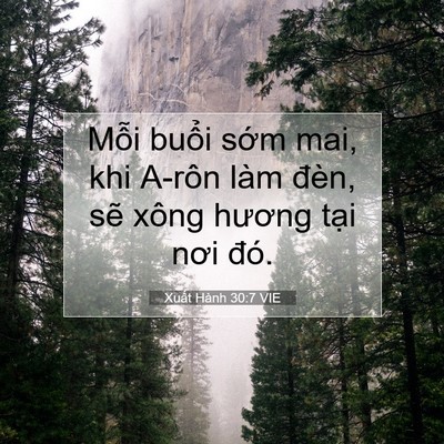 Picture 07 - Xuất Hành 30:7 VIE - Mỗi buổi sớm mai, khi A-rôn làm đèn, - Bible Verse Picture
