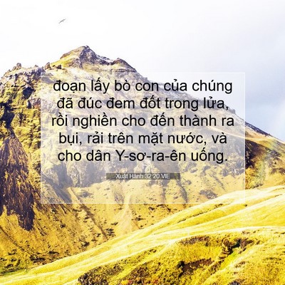 Picture 07 - Xuất Hành 32:20 VIE - đoạn lấy bò con của chúng đã đúc - Bible Verse Picture