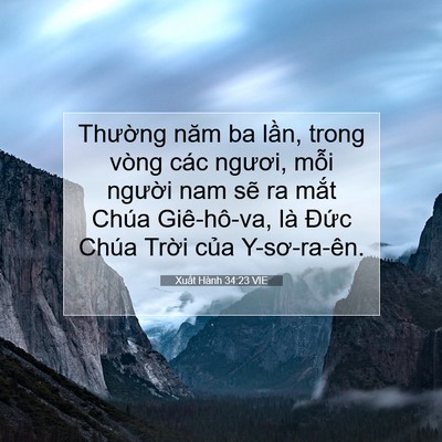 Picture 07 - Xuất Hành 34:23 VIE - Thường năm ba lần, trong vòng các - Bible Verse Picture