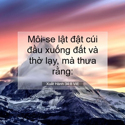 Picture 07 - Xuất Hành 34:8 VIE - Môi-se lật đật cúi đầu xuống đất - Bible Verse Picture