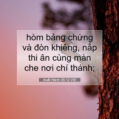 Picture 07 - Xuất Hành 35:12 VIE - hòm bảng chứng và đòn khiêng, nắp thi - Bible Verse Picture