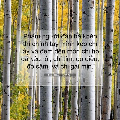 Picture 07 - Xuất Hành 35:25 VIE - Phàm người đàn bà khéo thì chính tay - Bible Verse Picture