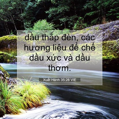 Picture 07 - Xuất Hành 35:28 VIE - dầu thắp đèn, các hương liệu để - Bible Verse Picture