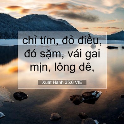 Picture 07 - Xuất Hành 35:6 VIE - chỉ tím, đỏ điều, đỏ sặm, vải gai - Bible Verse Picture