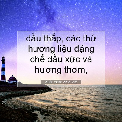 Picture 07 - Xuất Hành 35:8 VIE - dầu thắp, các thứ hương liệu đặng - Bible Verse Picture