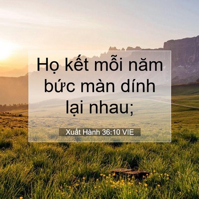 Picture 07 - Xuất Hành 36:10 VIE - Họ kết mỗi năm bức màn dính lại - Bible Verse Picture