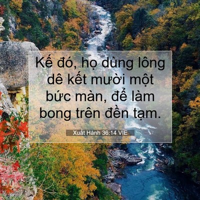 Picture 07 - Xuất Hành 36:14 VIE - Kế đó, họ dùng lông dê kết mười - Bible Verse Picture