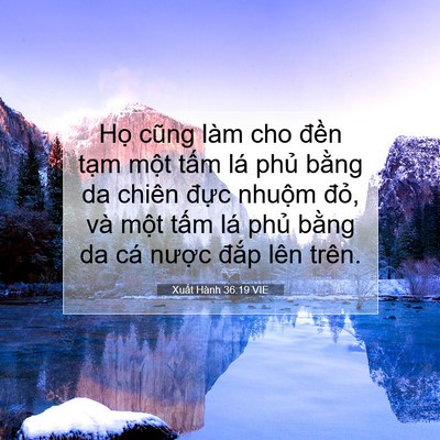 Picture 07 - Xuất Hành 36:19 VIE - Họ cũng làm cho đền tạm một tấm lá - Bible Verse Picture