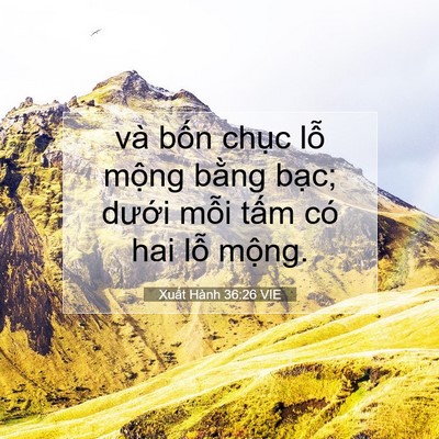 Picture 07 - Xuất Hành 36:26 VIE - và bốn chục lỗ mộng bằng bạc; - Bible Verse Picture