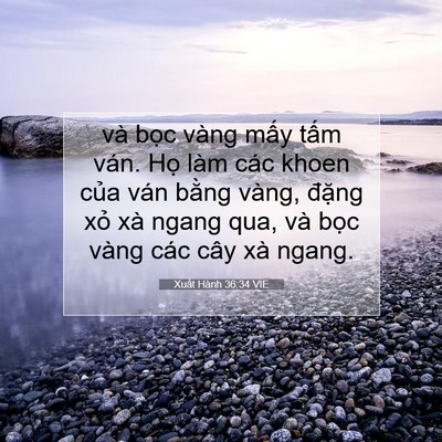 Picture 07 - Xuất Hành 36:34 VIE - và bọc vàng mấy tấm ván. Họ làm các - Bible Verse Picture