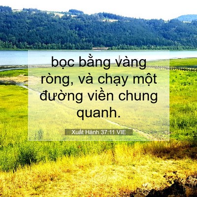 Picture 07 - Xuất Hành 37:11 VIE - bọc bằng vàng ròng, và chạy một - Bible Verse Picture