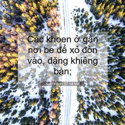 Picture 07 - Xuất Hành 37:14 VIE - Các khoen ở gần nơi be để xỏ đòn - Bible Verse Picture