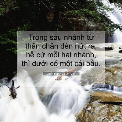 Picture 07 - Xuất Hành 37:21 VIE - Trong sáu nhánh từ thân chân đèn nứt - Bible Verse Picture
