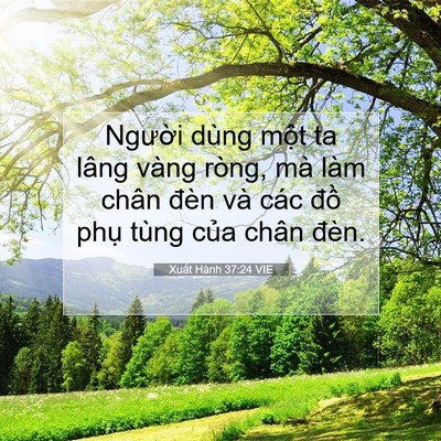 Picture 07 - Xuất Hành 37:24 VIE - Người dùng một ta lâng vàng ròng, mà - Bible Verse Picture