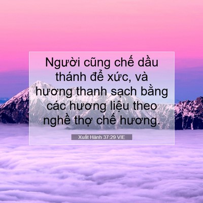 Picture 07 - Xuất Hành 37:29 VIE - Người cũng chế dầu thánh để xức, - Bible Verse Picture