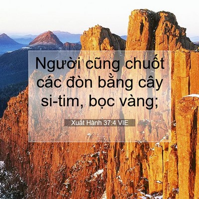 Picture 07 - Xuất Hành 37:4 VIE - Người cũng chuốt các đòn bằng cây - Bible Verse Picture