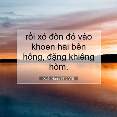 Picture 07 - Xuất Hành 37:5 VIE - rồi xỏ đòn đó vào khoen hai bên hông, - Bible Verse Picture