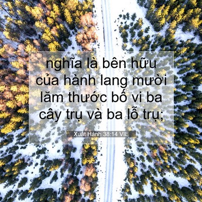 Picture 07 - Xuất Hành 38:14 VIE - nghĩa là bên hữu của hành lang mười - Bible Verse Picture
