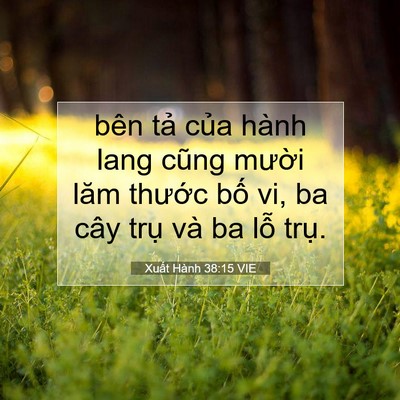 Picture 07 - Xuất Hành 38:15 VIE - bên tả của hành lang cũng mười lăm - Bible Verse Picture