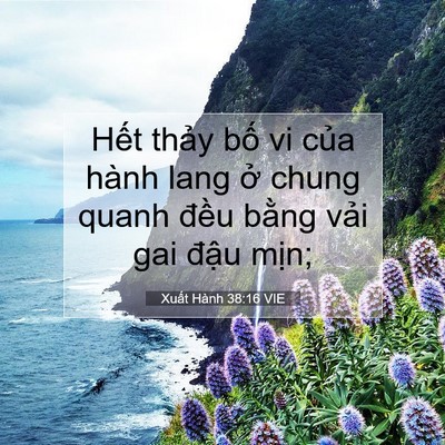 Picture 07 - Xuất Hành 38:16 VIE - Hết thảy bố vi của hành lang ở chung - Bible Verse Picture