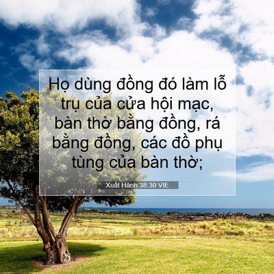 Picture 07 - Xuất Hành 38:30 VIE - Họ dùng đồng đó làm lỗ trụ của - Bible Verse Picture