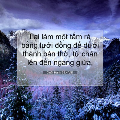 Picture 07 - Xuất Hành 38:4 VIE - Lại làm một tấm rá bằng lưới đồng - Bible Verse Picture