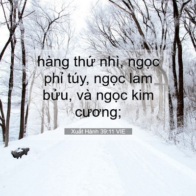 Picture 07 - Xuất Hành 39:11 VIE - hàng thứ nhì, ngọc phỉ túy, ngọc lam - Bible Verse Picture