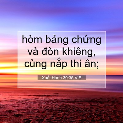 Picture 07 - Xuất Hành 39:35 VIE - hòm bảng chứng và đòn khiêng, cùng - Bible Verse Picture