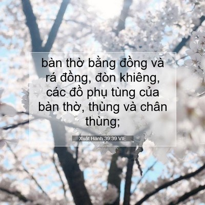 Picture 07 - Xuất Hành 39:39 VIE - bàn thờ bằng đồng và rá đồng, đòn - Bible Verse Picture